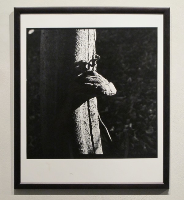 Rudolf Prekop: z cyklu: Aranže, černobílá bromostříbrná fotografie, 1992